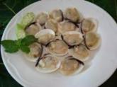 White Clams, half shell on 